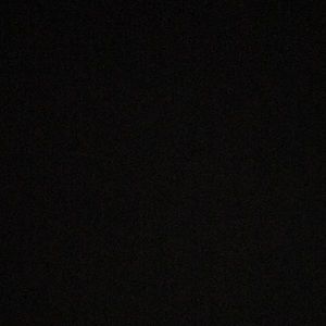 Meet your Posher, Ally